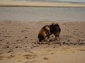 sylt (32)